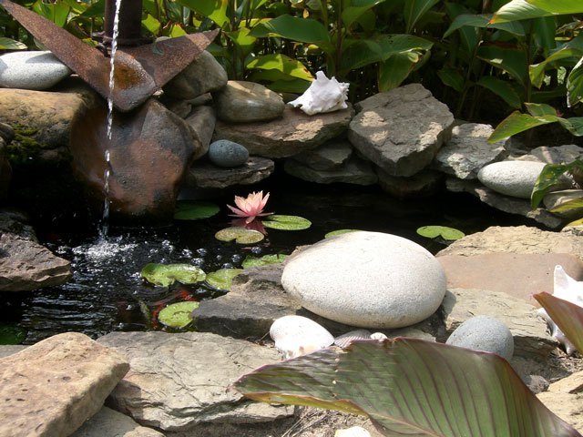 042__131_CIMG0735