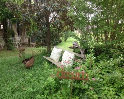 dream_outside
